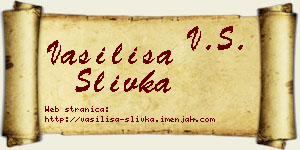 Vasilisa Slivka vizit kartica